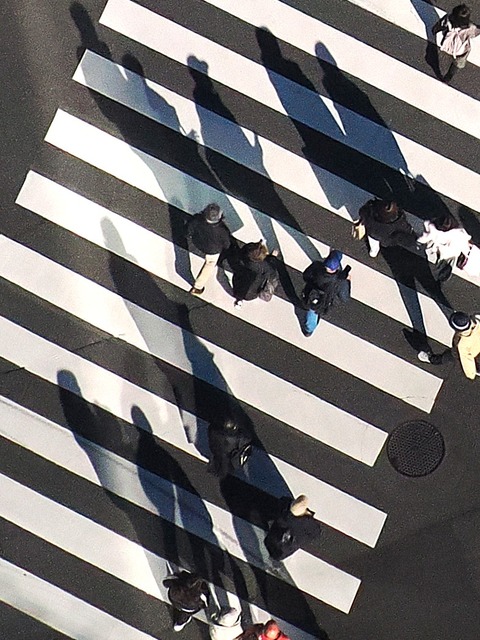 降っても晴れても写真日和:2026年01月19日