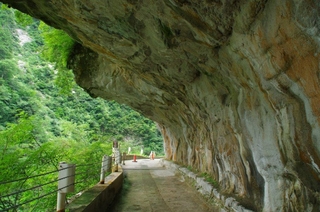 bacc0931.jpg