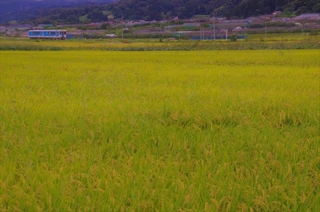 c073d809.jpg