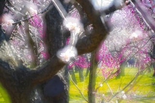 c856479c.jpg