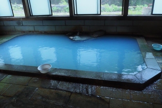 c94458f8.jpg