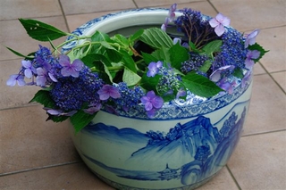 c9907a77.jpg