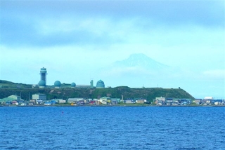 cc71c64e.jpg