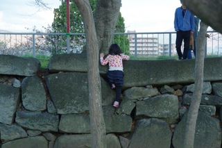 d5ce0671.jpg