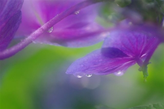 d9a8838f.jpg