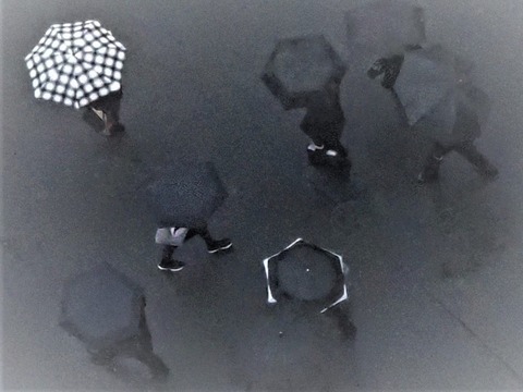 モノクロームの時間