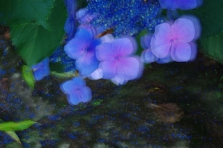eba72923.jpg