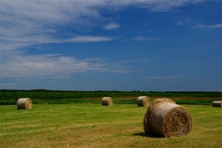 f0269253.jpg
