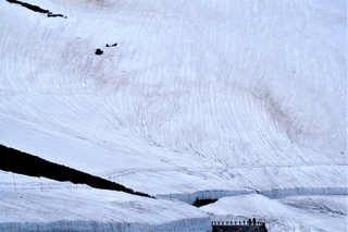 f08dc44d.jpg