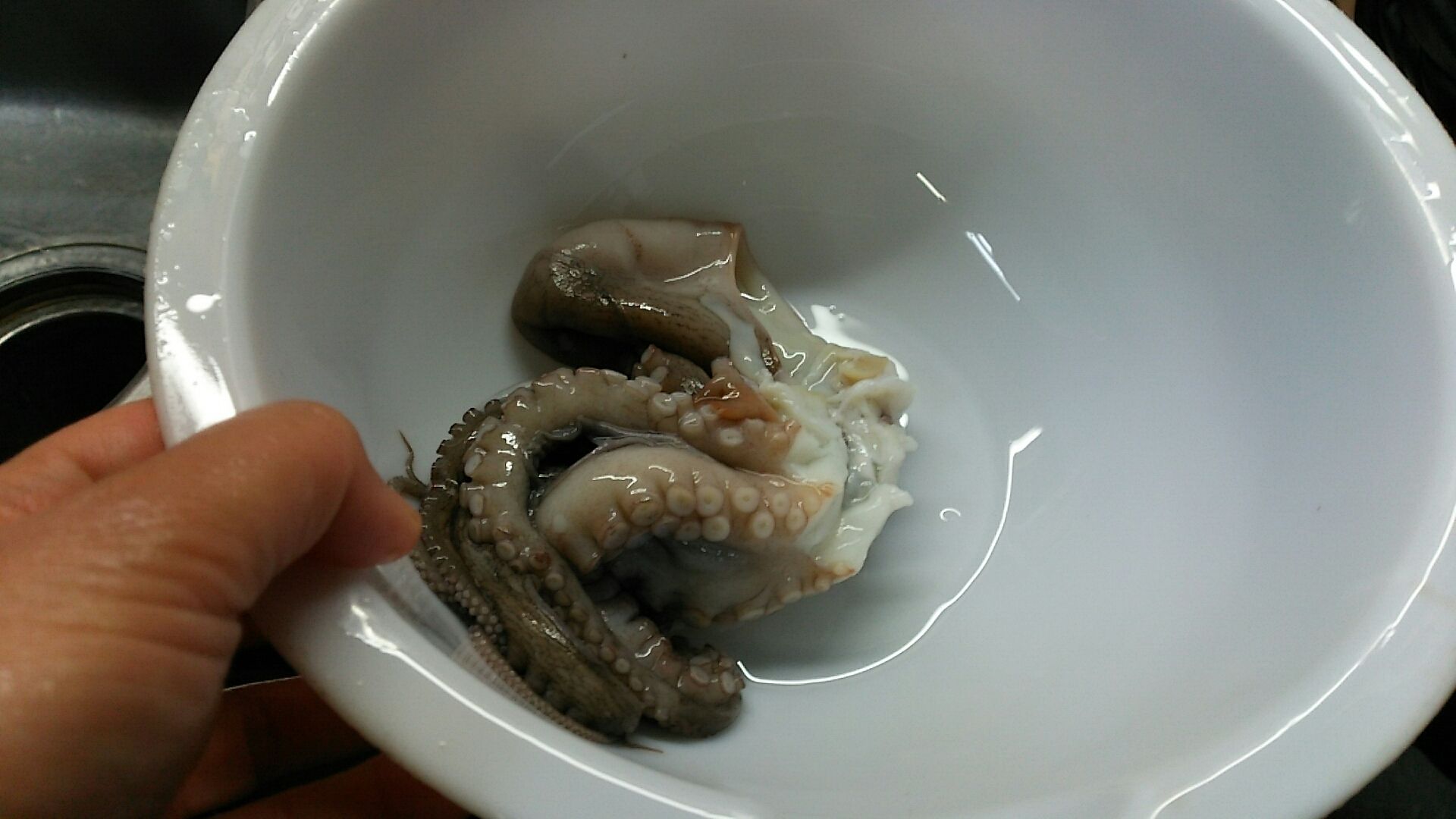 タコ干し体験 日間賀島 うるうる Mio様の名古屋食べ歩き日記 タコ干し体験 日間賀島 うるうる Mio様の名古屋食べ歩き日記