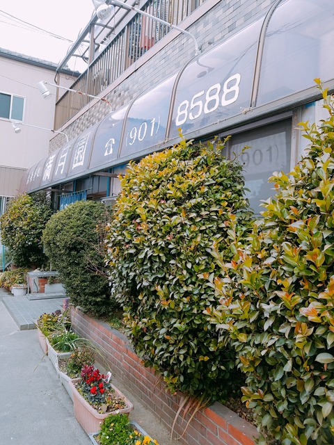 2019-02-15-13-15-16