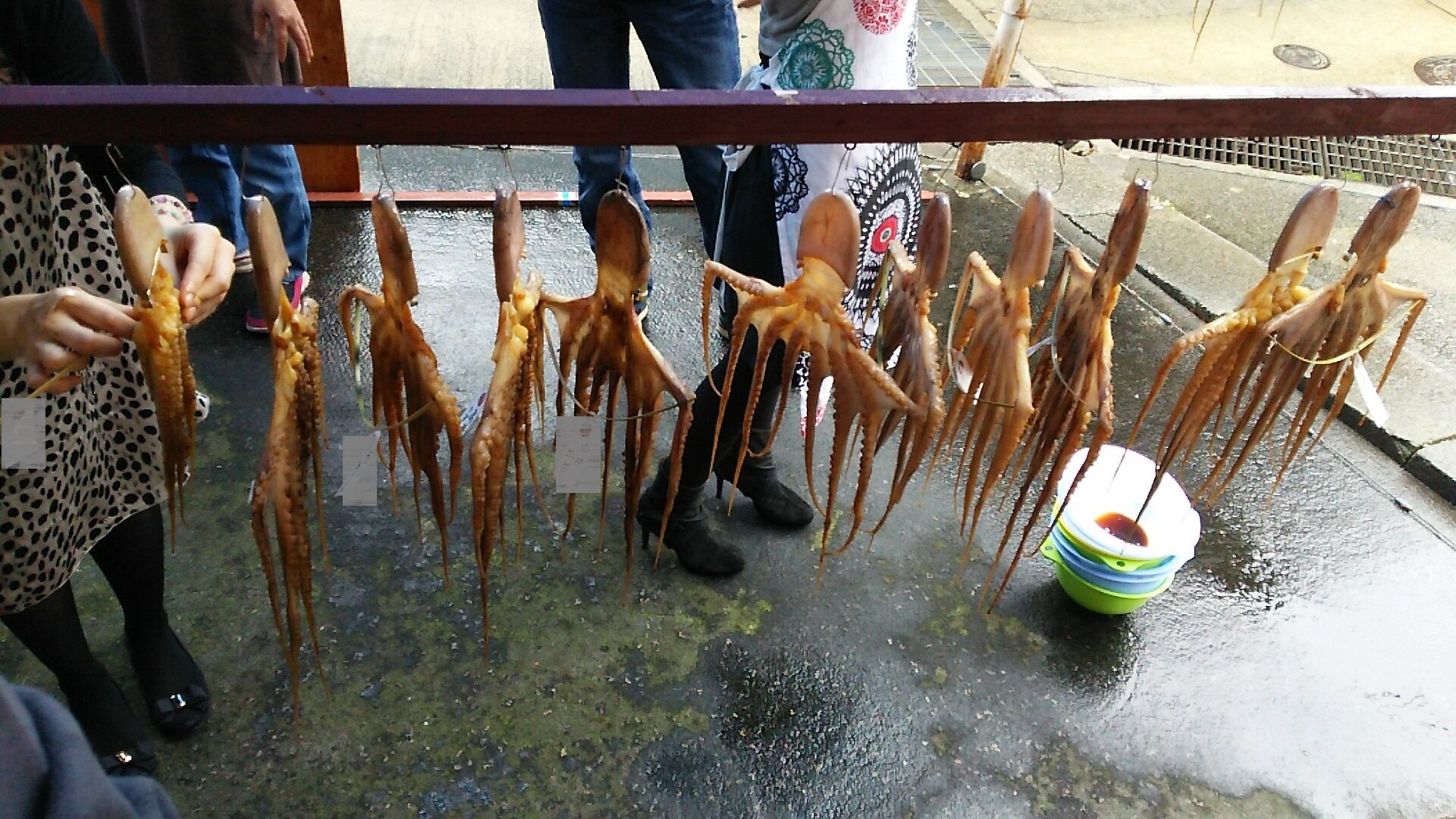 タコ干し体験 日間賀島 うるうる Mio様の名古屋食べ歩き日記 タコ干し体験 日間賀島 うるうる Mio様の名古屋食べ歩き日記