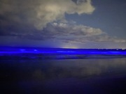 IMG_4726