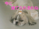 08bb731f.jpg