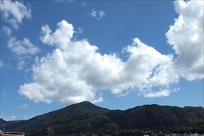 P9143710-002_R_R