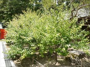 P1140670-001_R_R