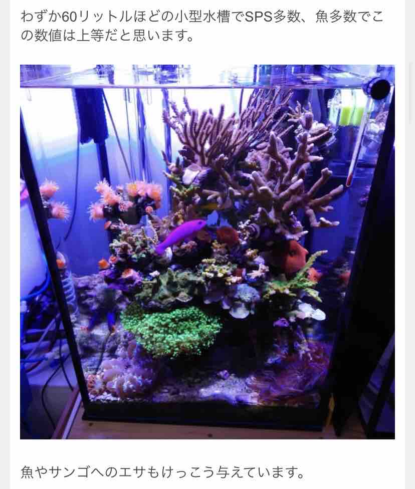 リン酸除去剤 おすすめ アクアリウムショップ Create The Sea リン酸除去剤 おすすめ アクアリウムショップ Create The Sea