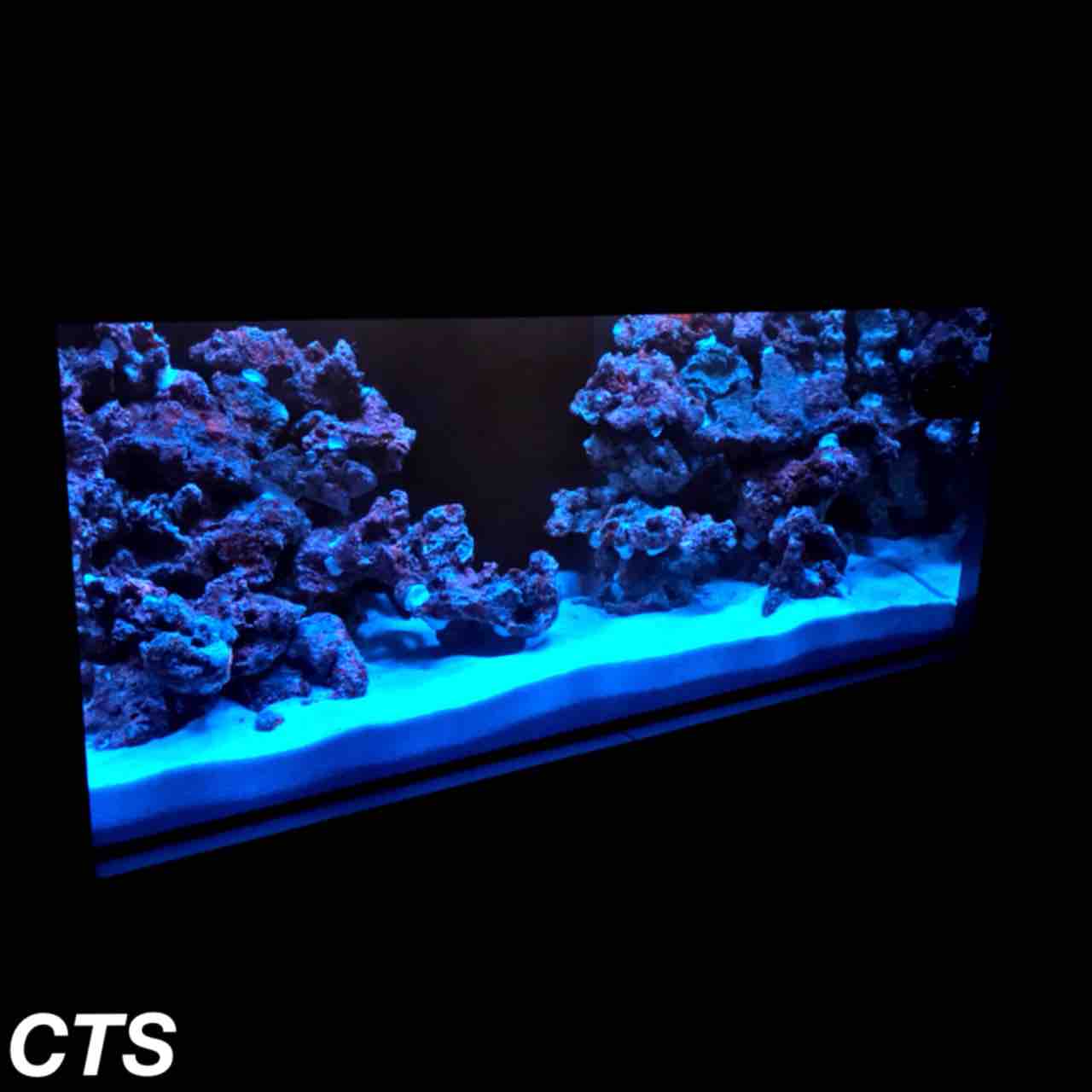 Dream Tankの立ち上げ まるで水族館編 Part2 アクアリウムショップ Create The Sea