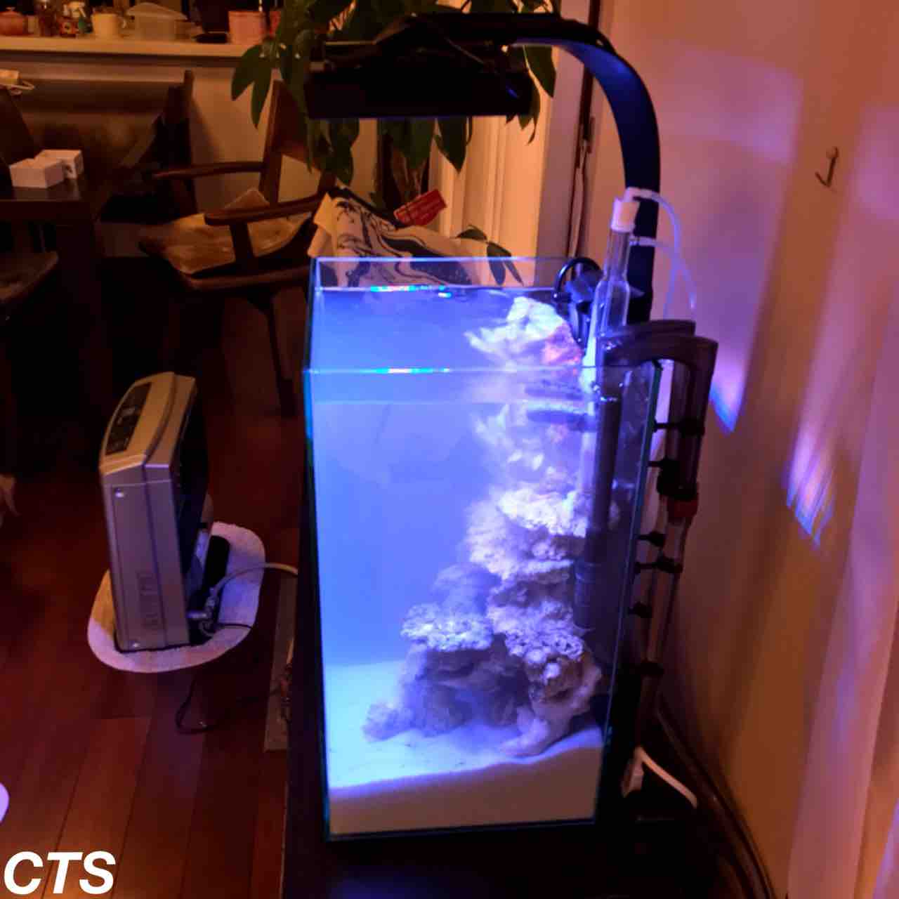 当店オリジナル 水槽立ち上げサポートシステム アクアリウムショップ Create The Sea