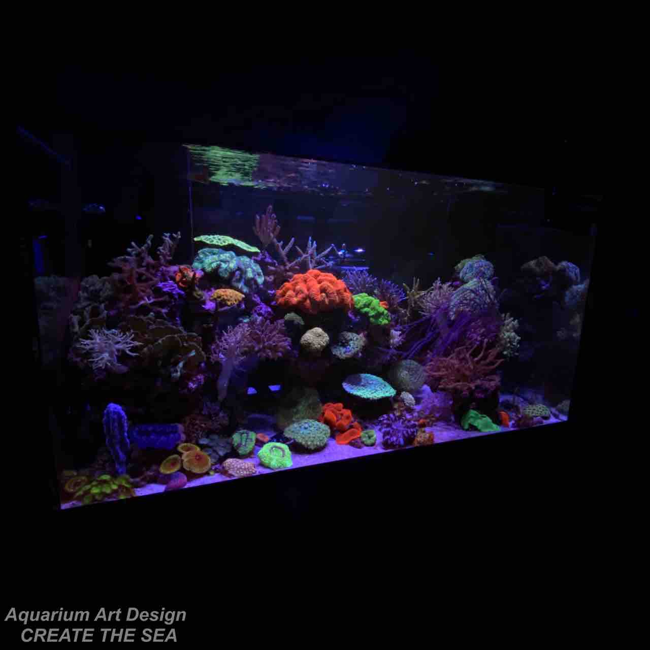 水槽レイアウト アクアリウムショップ Create The Sea