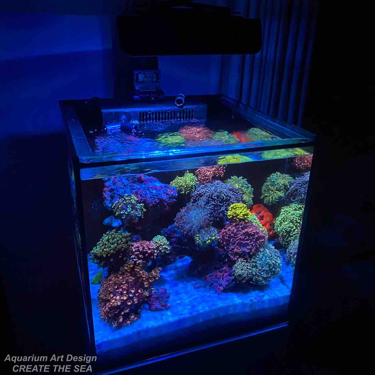 お洒落で安いオーバーフロー水槽セットを探している方必見 アクアリウムショップ Create The Sea お洒落で安いオーバーフロー水槽セットを探している方必見 アクアリウムショップ Create The Sea