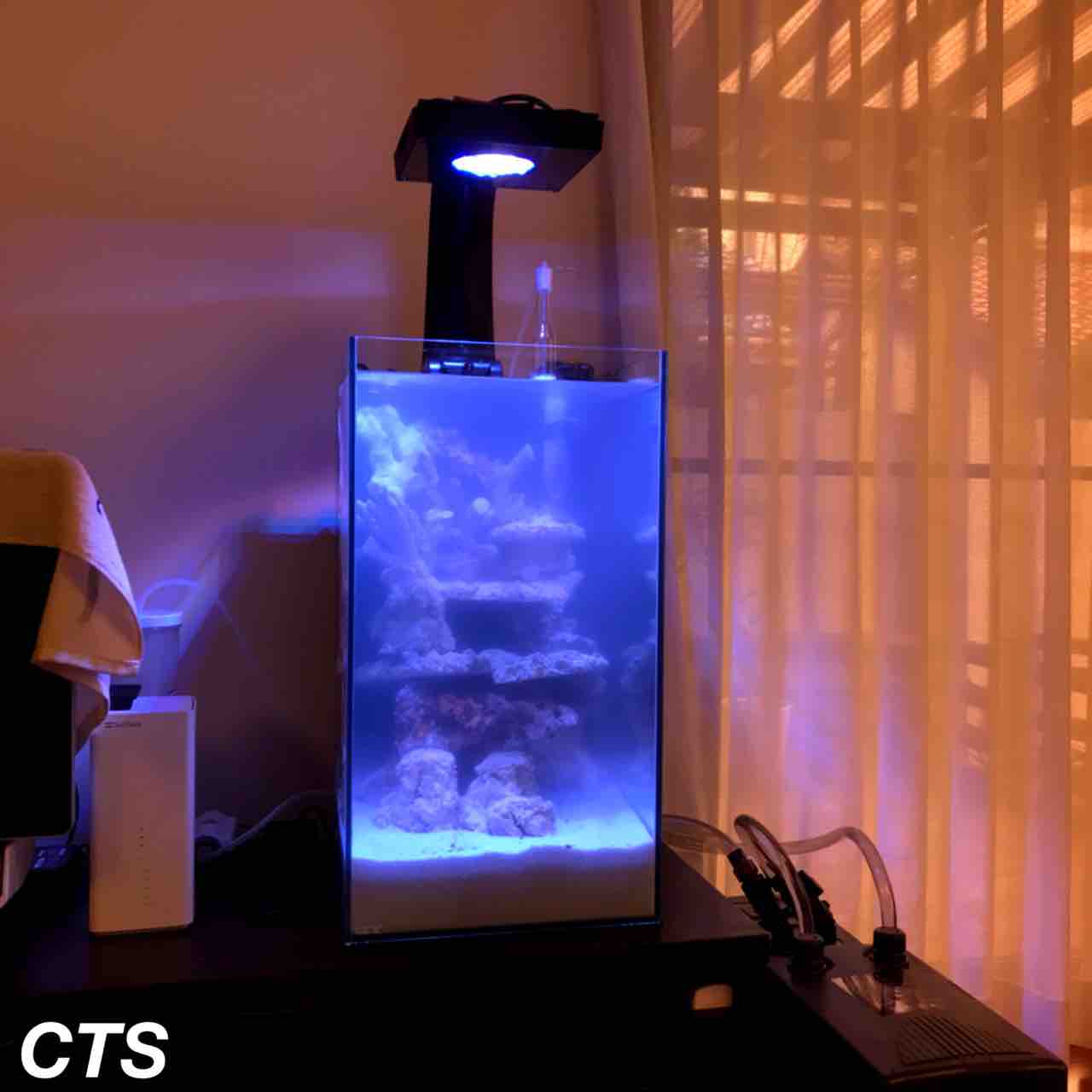 当店オリジナル 水槽立ち上げサポートシステム アクアリウムショップ Create The Sea
