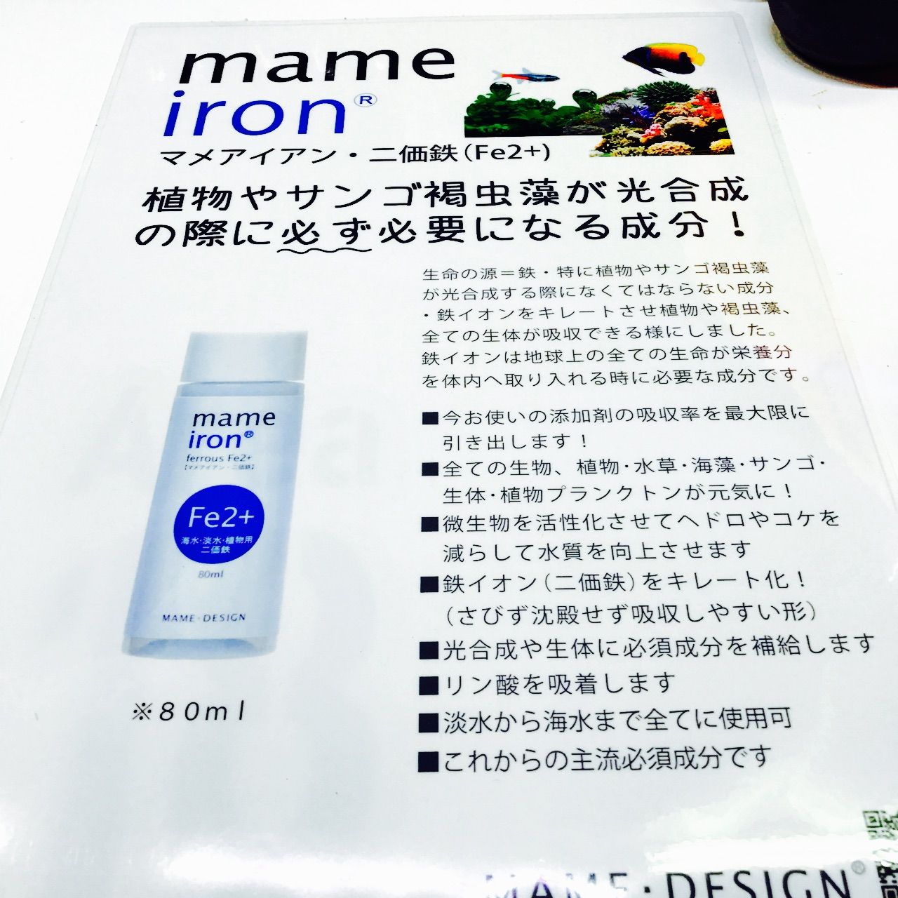 マメアイアン入荷しました‼️ : アクアリウムショップ CREATE マメアイアン入荷しました‼️ : アクアリウムショップ CREATE