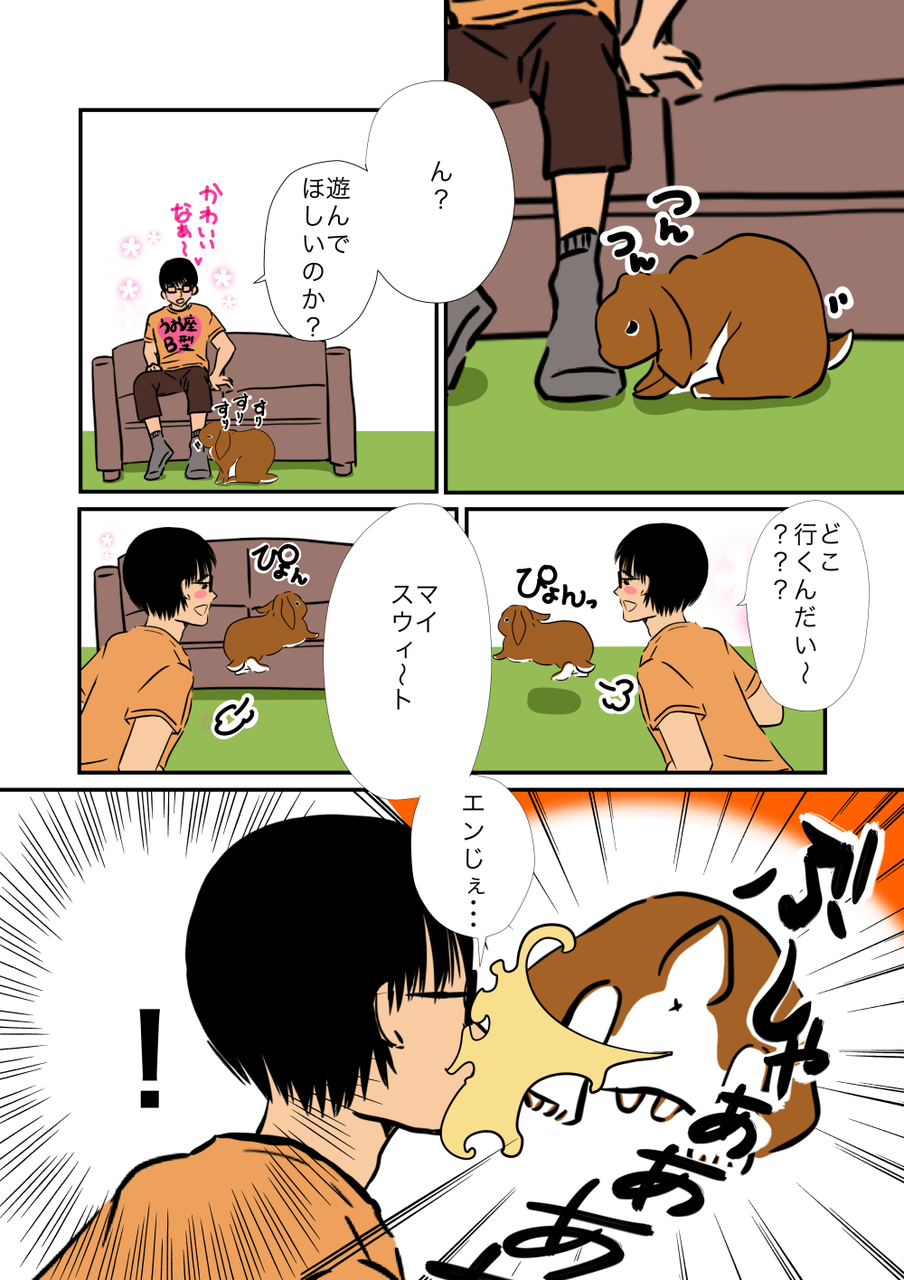 マーキング うさぎのたいさのじかん マーキング うさぎのたいさのじかん