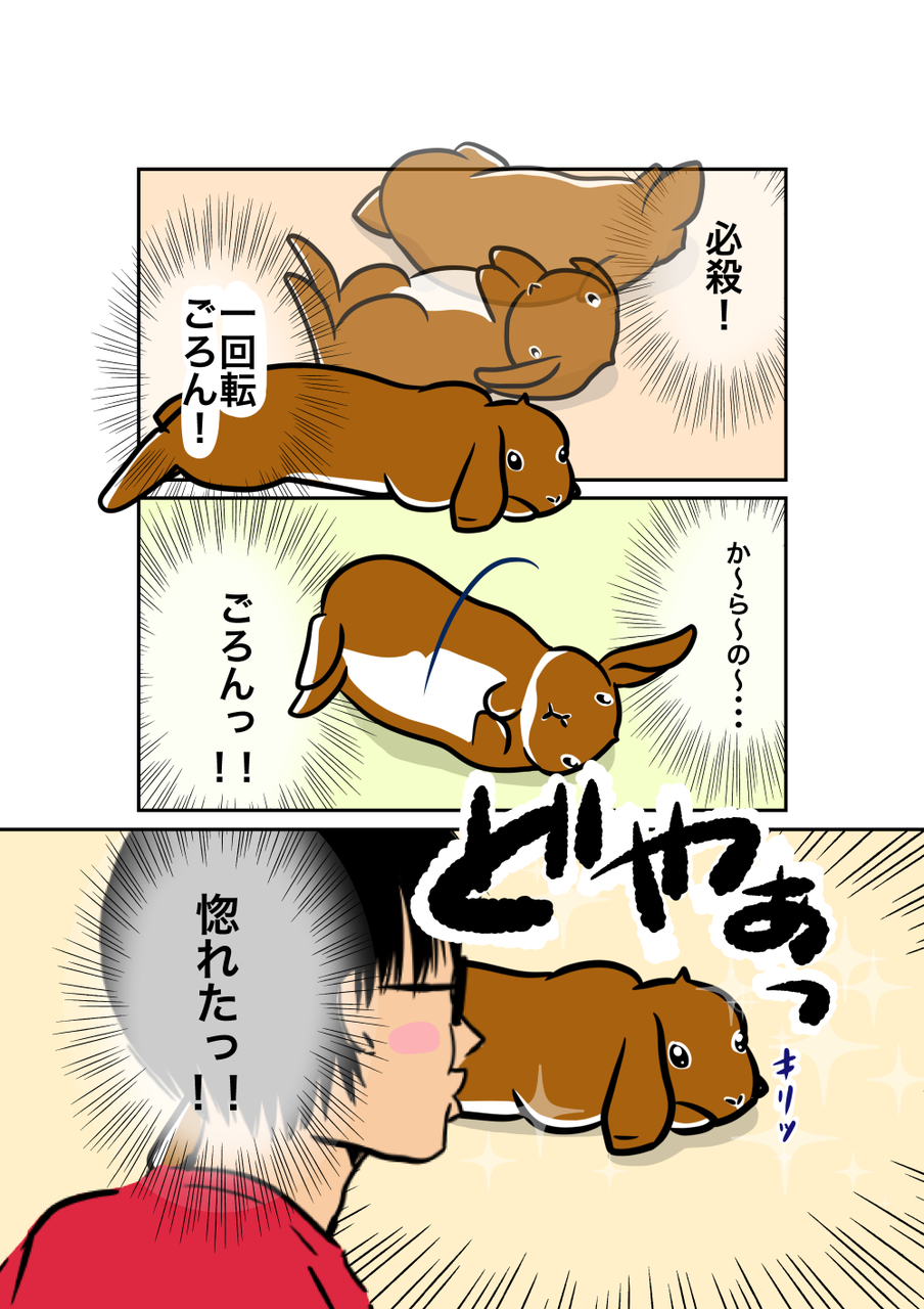 惚れる瞬間 うさぎのたいさのじかん
