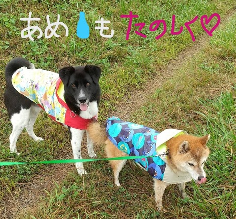 rain_tanoshiku