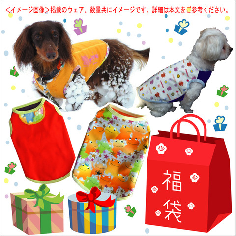 2017fukubukuro_image