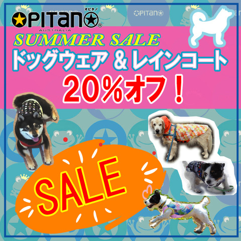 2025_summersale.ai