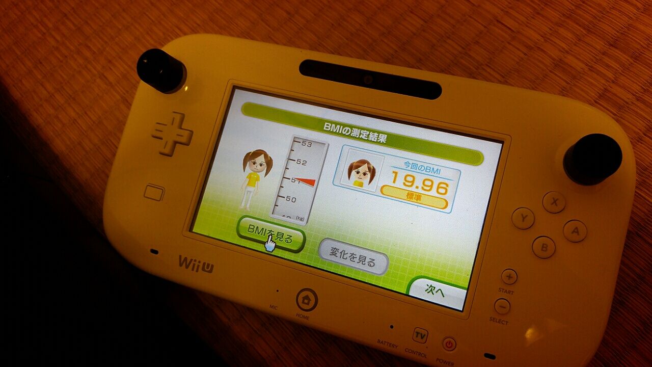 初日とダイエット内容 Wiiｕで痩せたいブログ