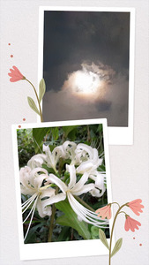 20240918_211633-COLLAGE