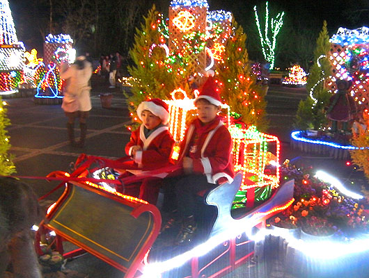 hanakairo_christmas04