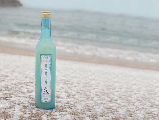 image海に降る雪530