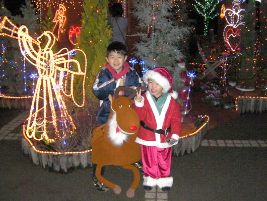 hanakairo_christmas03