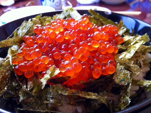 akasaki1