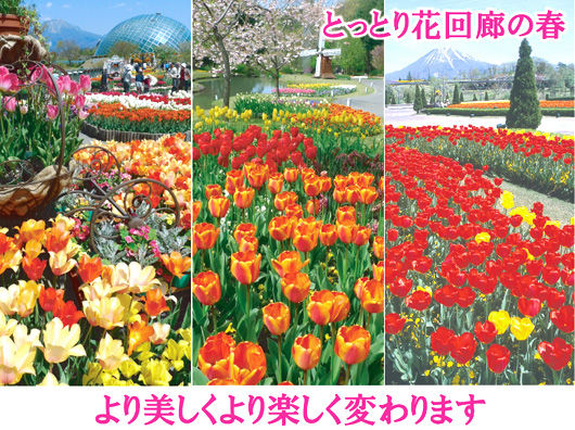 hanakairo_spring