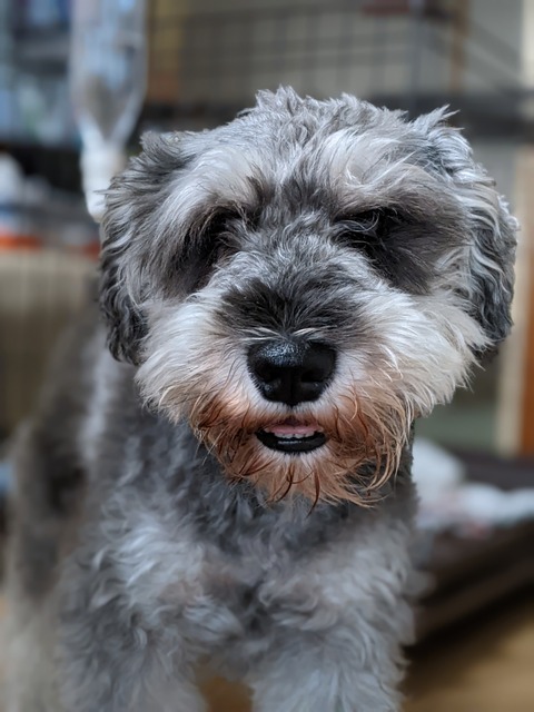 PORTRAIT