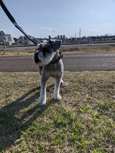 PXL_20210314_055731829