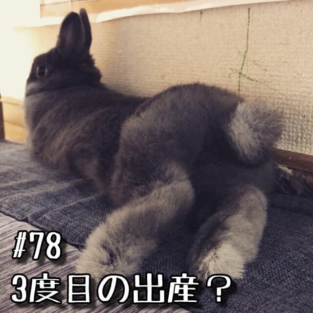 3度目の出産 動画制作初心者のyoutube生活 3度目の出産 動画制作初心者のyoutube生活