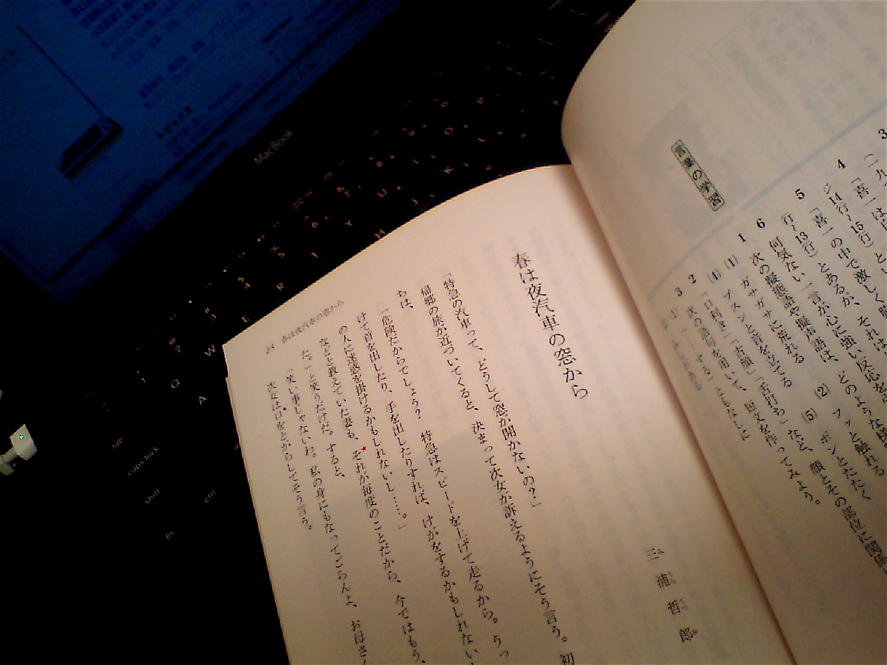 春は夜汽車の窓から うさぎ観察日誌 春は夜汽車の窓から うさぎ観察日誌