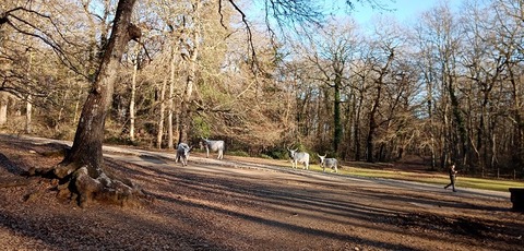 IMG_20200216_162323