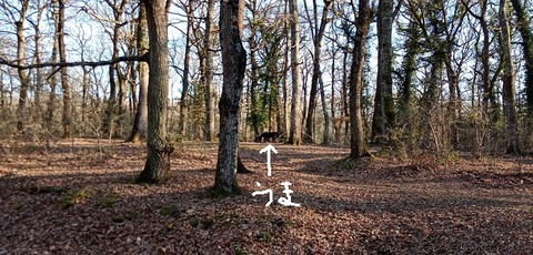 IMG_20200216_162048