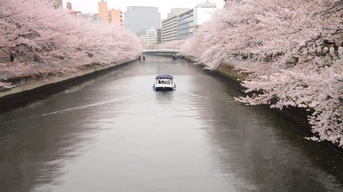 小名木川