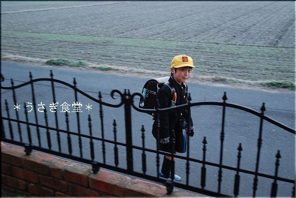 ★うさぎ食堂へようこそ★