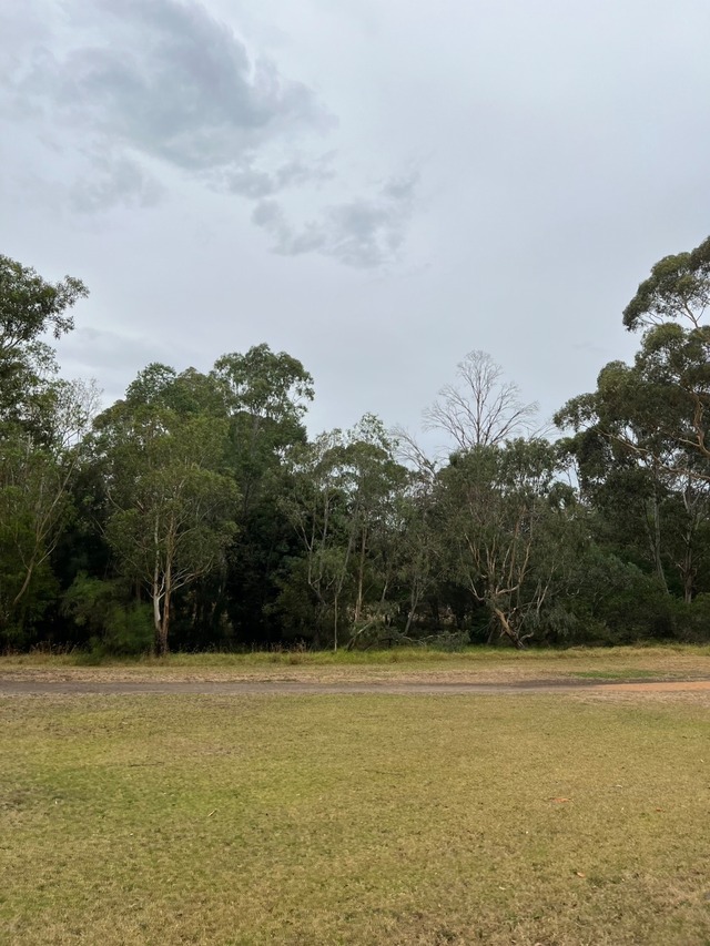 Point Blur_20260304_185438