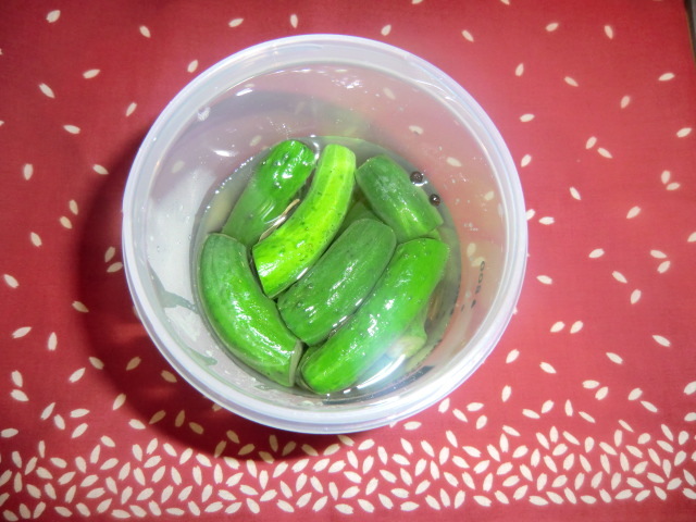 パジャマでうさぎのブログ