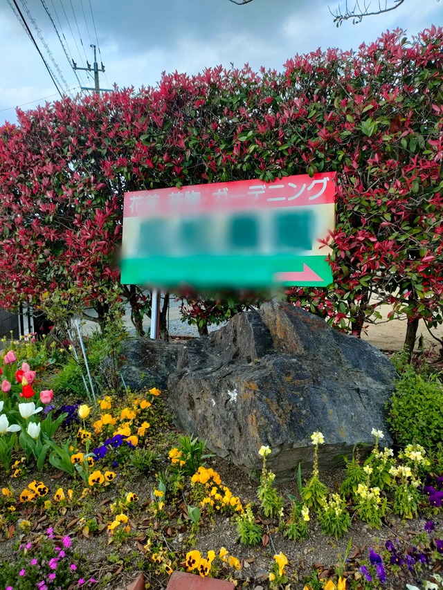 Point Blur_20250405_181428